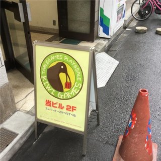 Kiwi00.jpg
