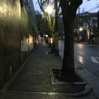 image.jpeg